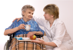 lady giving meal to old woman